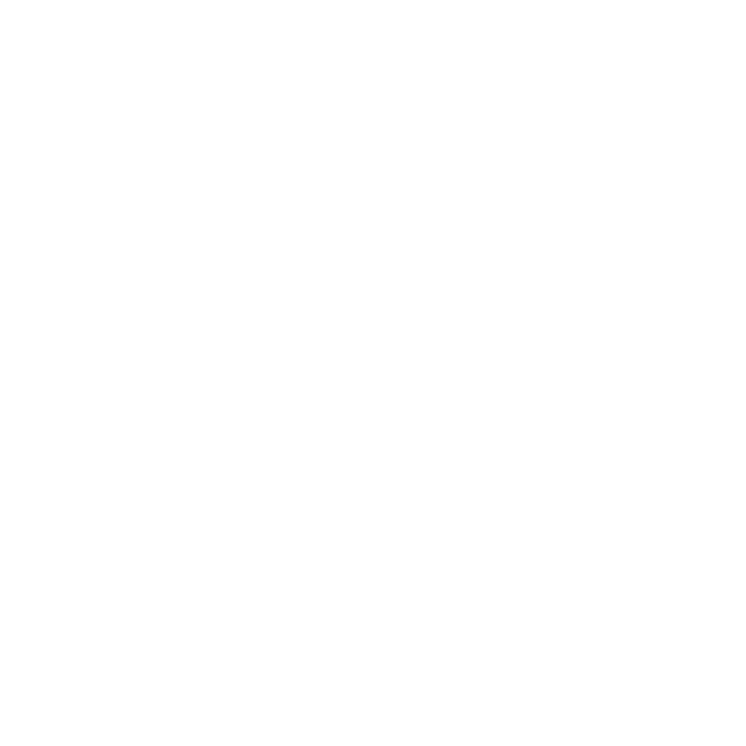 feature-item-2
